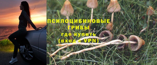гидра Верхнеуральск