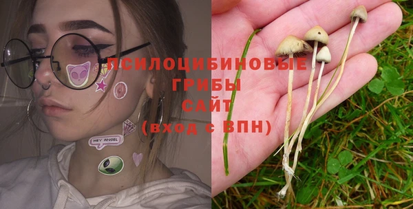 стафф Верея