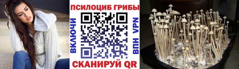 Псилоцибиновые грибы ЛСД Калтан